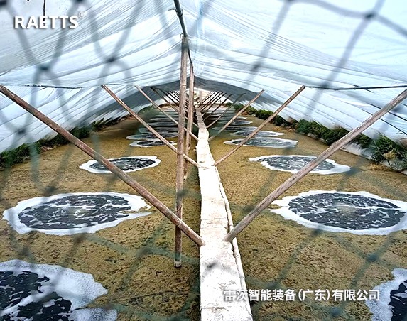 ���K��ͨ���r�Bֳ