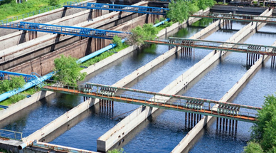 �՚�Ҹ��L�C̎���켈�S�Ɲ{�Uˮ�ă��ݷ���