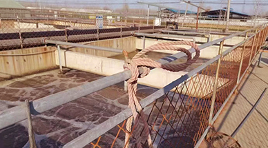 ?NG�ʘ��՚�Ҹ��L�C��׌ʳƷ�S��ˮ̎������30%-50%