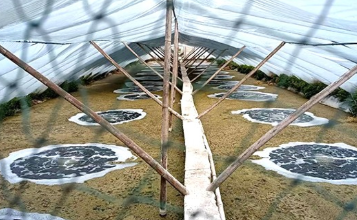 �Bֳ�����C���p�ɑ����ļ���ͬ��r