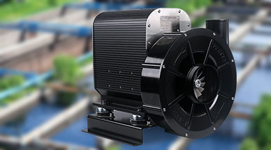 �~�������Cʲô�r���_ʼ�\���ź��m