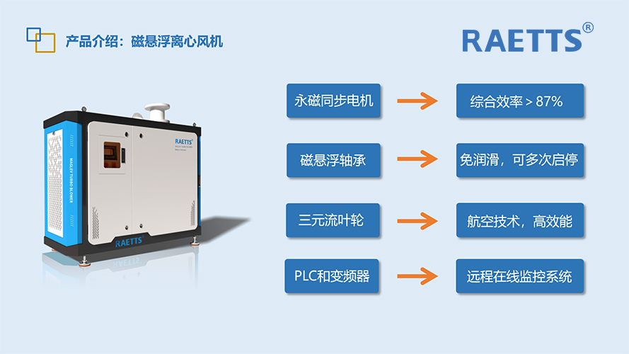 1728348806563695.jpg 10.jpg